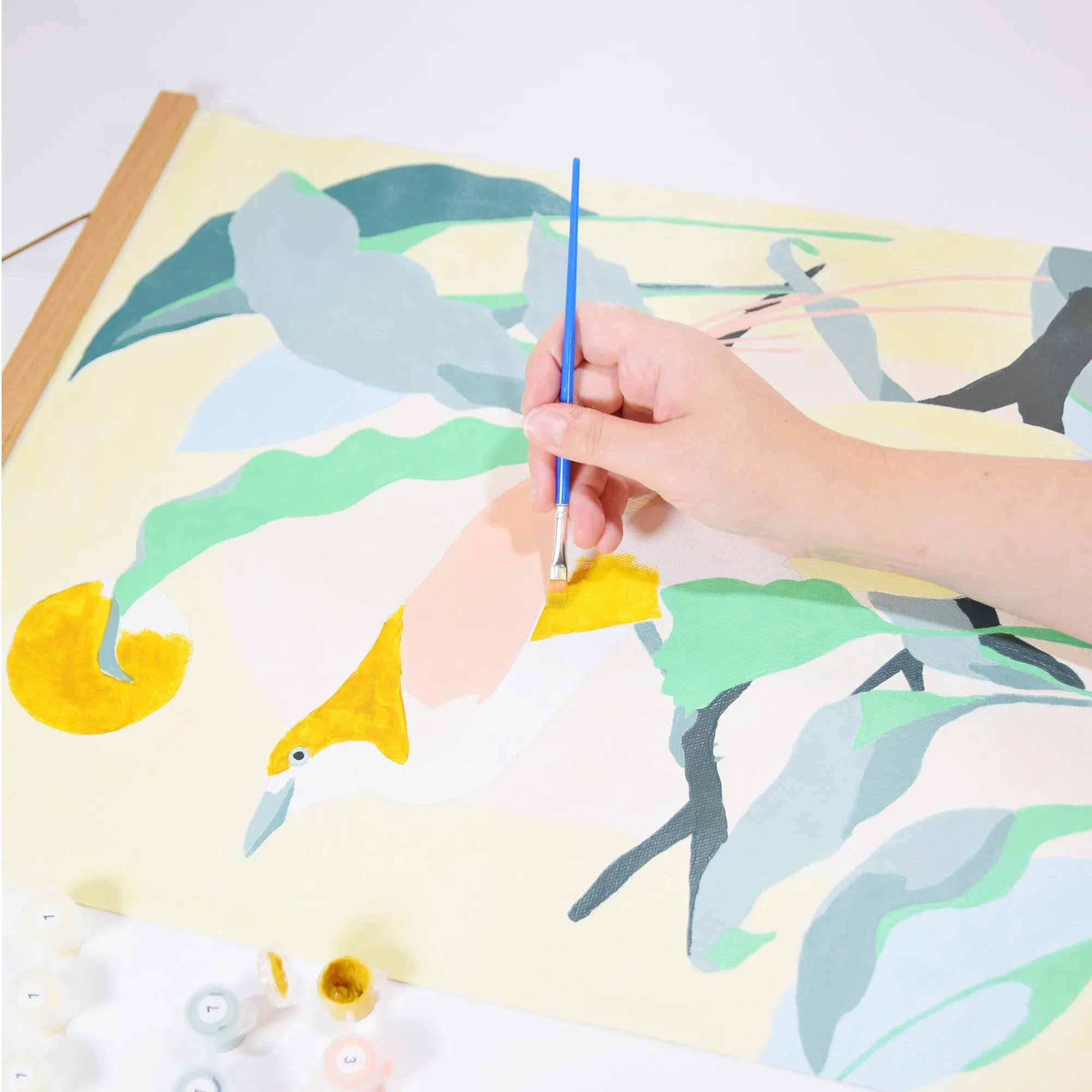 Paint By Numbers Kit (Birds Of Paradise)