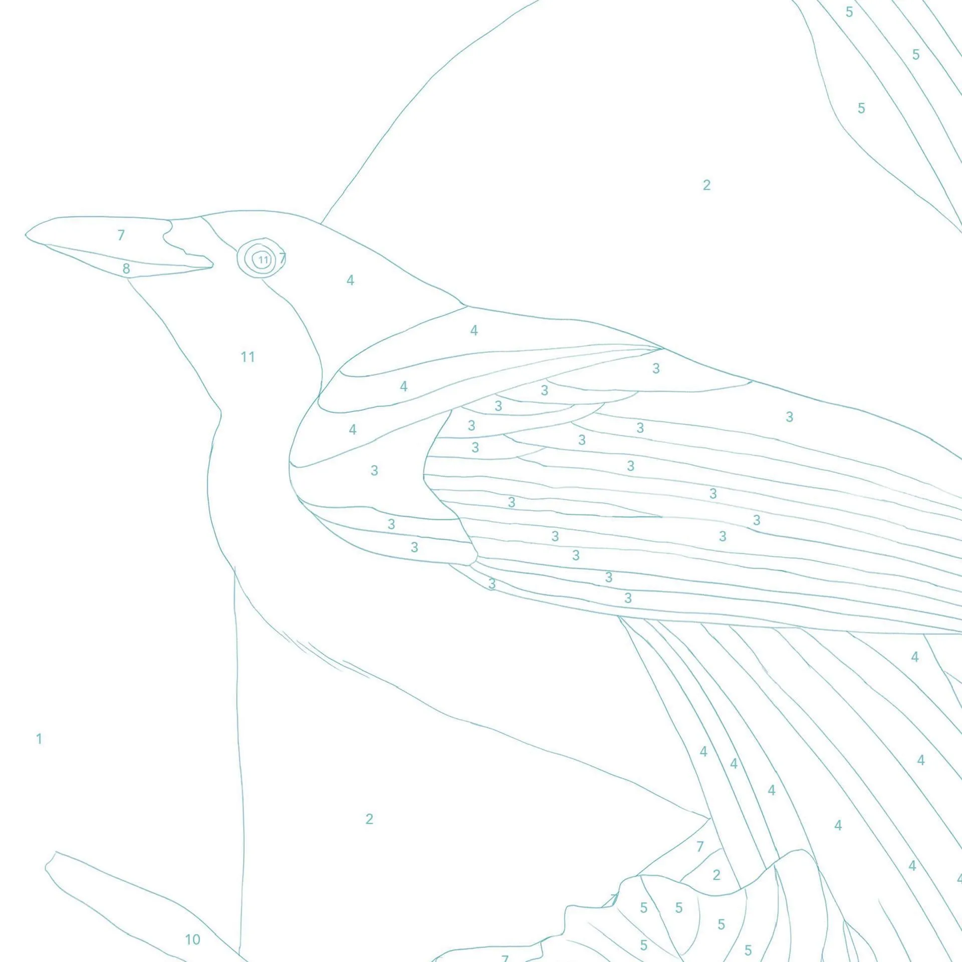 Paint By Numbers Kit (Birds Of Paradise)